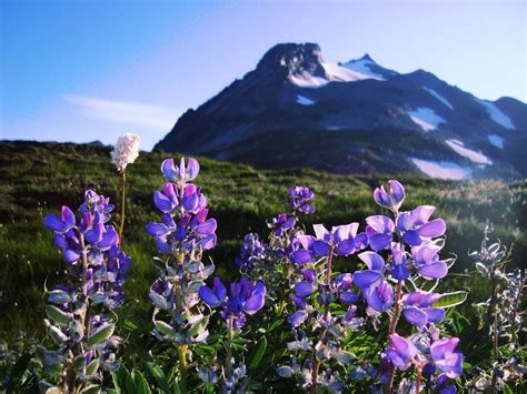 Why You Should Visit Washingtons North Cascades National Park