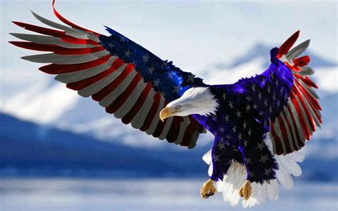 Bald Eagle In Colors Of American Flag