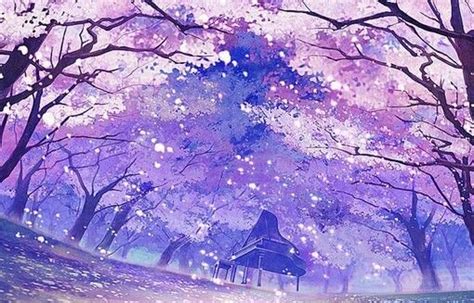 Anime Cherry Blossom Cherry Blossom Background Cherry Blossom