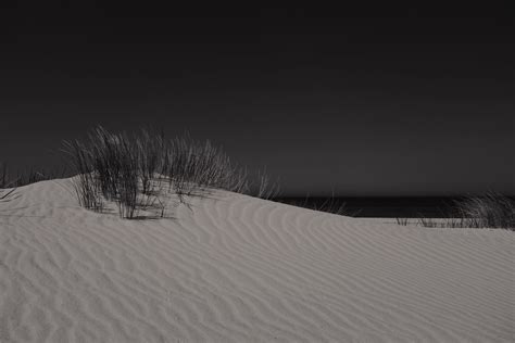 รูปภาพ หญ้า หิมะ ฤดูหนาว ดำและขาว กลางคืน สภาพอากาศ เนินทราย