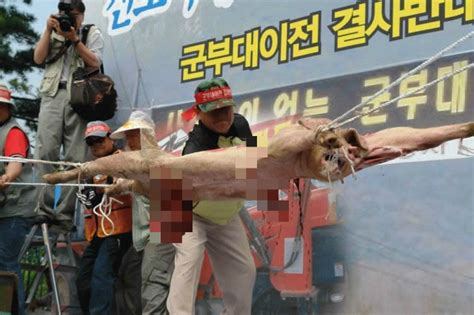 【閲覧注意】 韓国内での反日デモ実態画像 【閲覧注意】 - 『仙台のモモンガの写真ブログ』