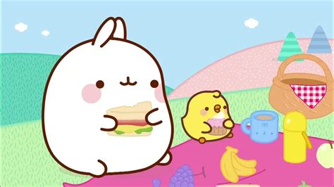Molang Picnic With Chickens Youtube