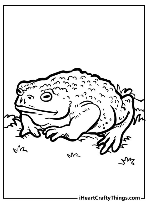 toad coloring pages 100 free printables coloring library