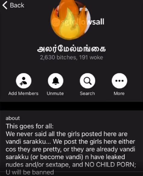 Indian Telegram Group Shared Leaked Photos Or Video Of Sg Girls