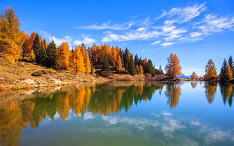 Nature Landscape Lake Fall Forest Italy Trees Water Calm