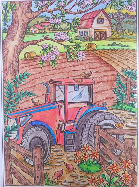 Deli Pencils Brutfuner Pencils Country Farm Country Life Coloring