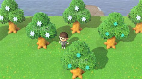 Star Trees