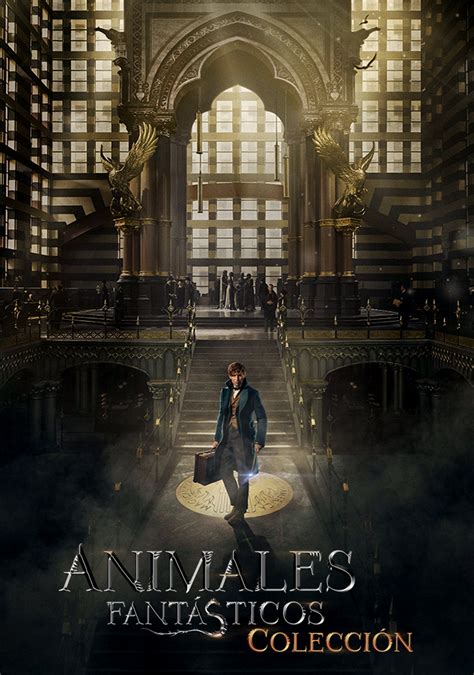 Unlimited tv shows & movies. Fantastic Beasts Collection | Movie fanart | fanart.tv
