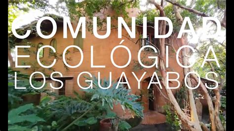 Comunidad EcolÓgica Los Guayabos Youtube