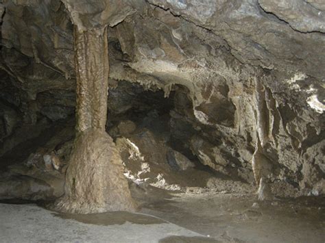 Visitors Happy To Decontaminate At Oregon Caves National