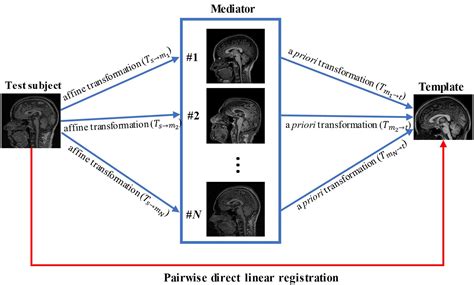 Frontiers Linear Registration Of Brain Mri Using Knowledge Based
