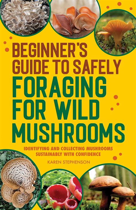 Beginners Guide To Safely Foraging For Wild Mushrooms Book By Karen