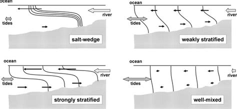 3 Classification Of Estuaries According To Their Saline Structure