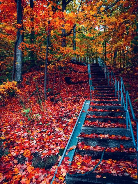 🇨🇦 Colourful Stairs Toronto Ontario By Erase And Rewind 🍂cr Autumn
