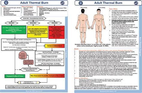 Sample Thermal Burns Protocol And Rule Of Nines Guide Download