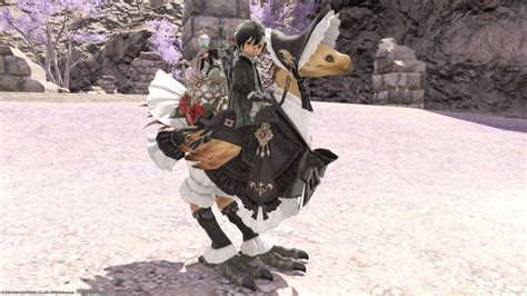 Ff14 Abigail Barding Ffxiv Chocobo Barding Guide Late To The Party