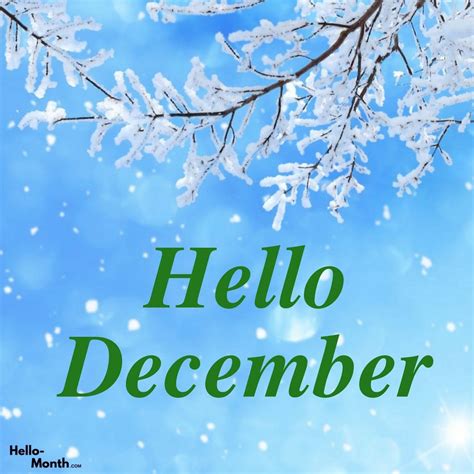 Hello December Animated  Hello December Hello November December