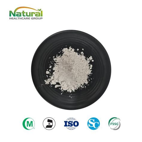 China High Quality Salix Alba Extract Powder Salicin 98 Suppliers