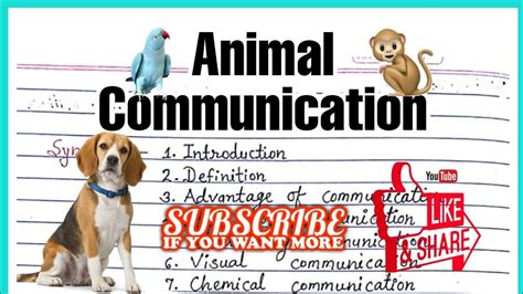 Animal Communication And Types Of Communication Youtube