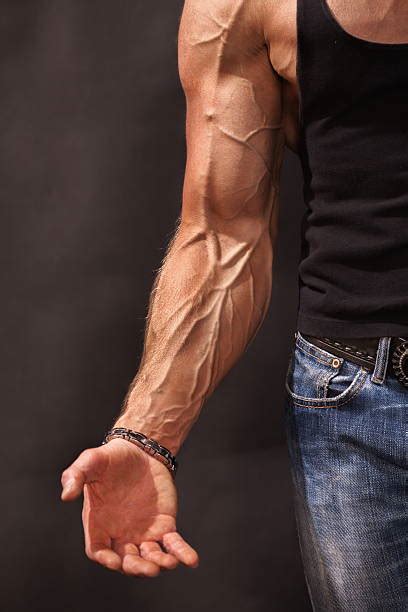 Bicep Vein Stock Photos Pictures And Royalty Free Images Istock