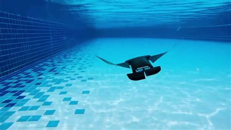 Nus Developed Manta Ray Robot Swims Faster And Operates Up To 10 Hours