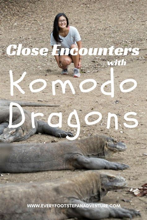 Close Encounters With The Komodo Dragons Of Indonesia Indonesia