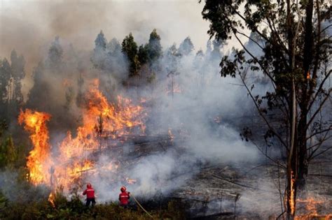 Maybe you would like to learn more about one of these? Meteorologia complica combate a incêndios em Portugal | RR ...