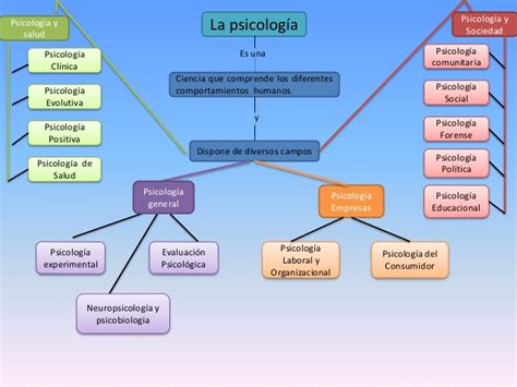 Mapa Conceptual De Psicolog A Gu A Paso A Paso