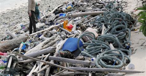 Scientists Find 414 Million Pieces Of Plastic Debris On Remote Islands