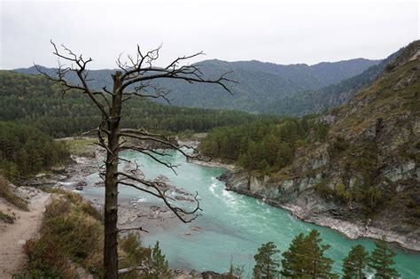 Katun River The Heart Of The Altai Mountains Happy Frog Travels