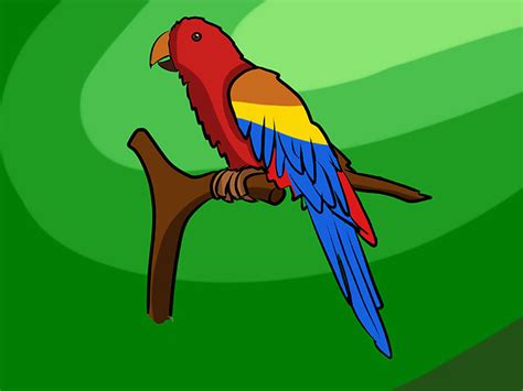 Kako Nacrtati Papagaja Slika Kako Nacrtati Papagaja 22