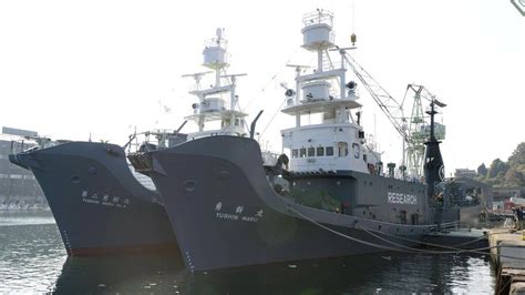 Japanese Whaling Ships Depart For Antarctic Hunt Bbc News