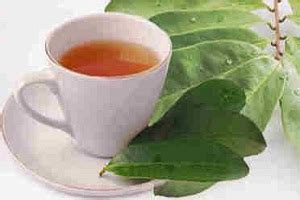 Daun teh hijau langsung dipanaskan untuk mengunci flavonoid yang berperan sebagai antioksidan. 9 Manfaat Teh Daun Sirsak untuk Kesehatan yang Sangat ...