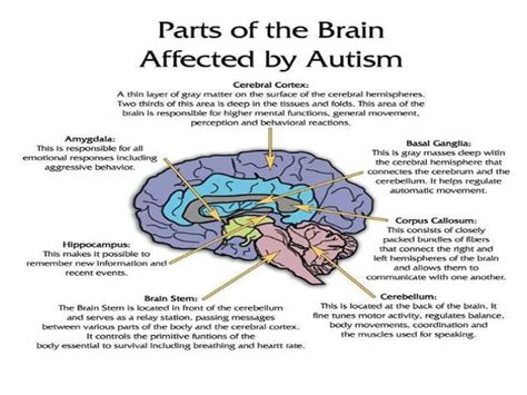 What are autism spectrum disorders? Autism Spectrum Disorders - JA Health Advocate