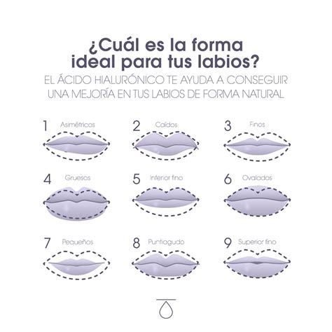 ¿cual Es Para Ti El Labio Ideal Clinicas Comyce