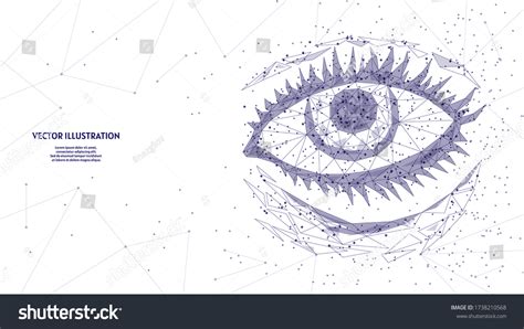 Fundus Over 391 Royalty Free Licensable Stock Vectors And Vector Art