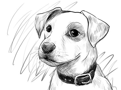 Dog Face Drawing Easy - Drawing Clipartmag | Bodaswasuas