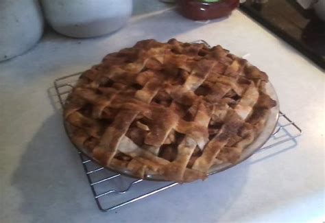 Press dough up sides of pie plate to edges, and trim any excess. My Baking Adventures: Paula Deen's Apple Pie