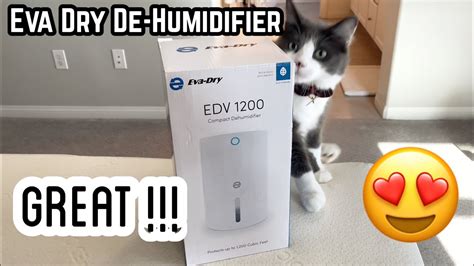【r44】eva Dry Portable Electric Dehumidifier ‣ Perfect For Humid Places