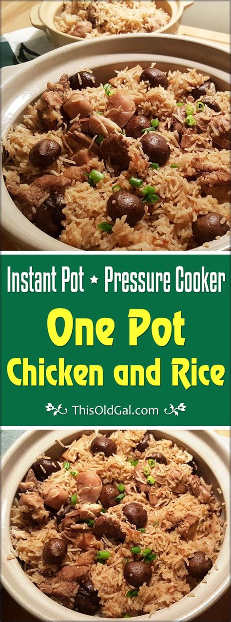 Chicken breast, whole chicken, ground chicken, chicken thighs Pressure Cooker One Pot Chicken and Rice | This Old Gal