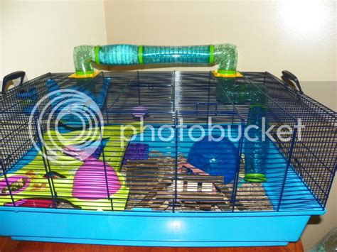 Savic Sky Metro Cage Review Hamster Central
