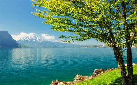 See more ideas about scenery wallpaper, scenery, wallpaper. Spring Scenery Wallpaper - WallpaperSafari