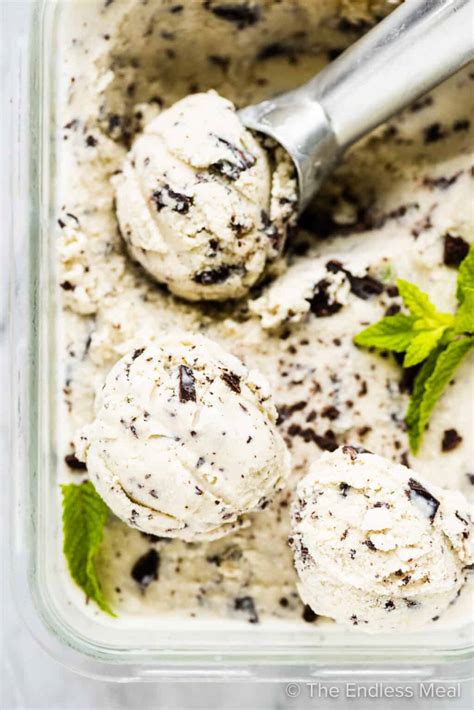 Mint Chocolate Chip Ice Cream The Endless Meal