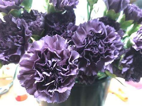 Avas flowers offers a large selection of green plants, fruit baskets and funeral flowers for funeral homes in marietta. Pin by Owens Flower Shop Marietta, GA on Our Flower ...