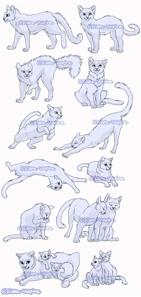 12x Cat Pose Pack By Littlevulpine On Deviantart Warrior Cat Drawings