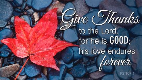 Top Thanksgiving Bible Verses About Gratitude For God