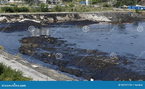 Former Dump Toxic Waste Effects Nature From Contaminated Soil And