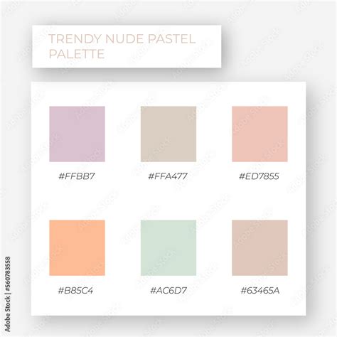 Nude Pastel Palette Trendy Pallete Of Color Cozy Color Pallete
