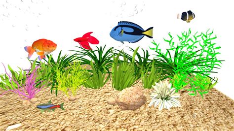 Underwater Fish Aquarium 3d Model 3d Model By Creative Transcends