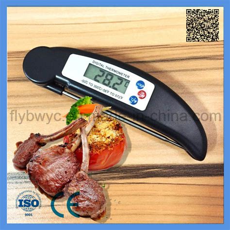 China Digital Food Meat Folding Portable Thermometer For Cooking